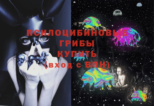 кокс Алексин
