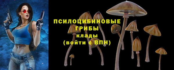 2c-b Алексеевка
