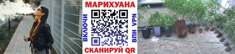 Шишки марихуана марихуана Оленегорск